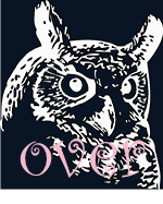 Over Night Owl
